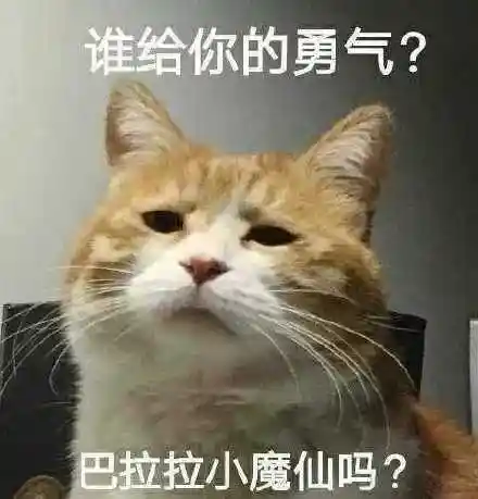 勇气表情包 - 勇气微信表情包 - 勇气qq表情包 - 发表情 fabiaoqing.