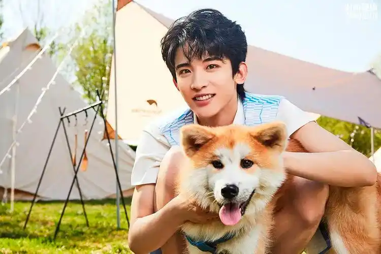 时尚健康人物常华森露营是繁忙工作的调味剂文末福利