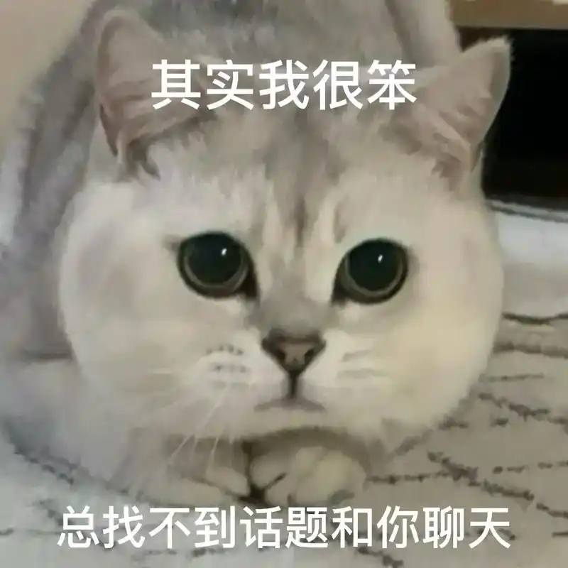 其实我很笨 总找不到话题和你聊天.#发给对象表情包 #猫咪表 - 抖音