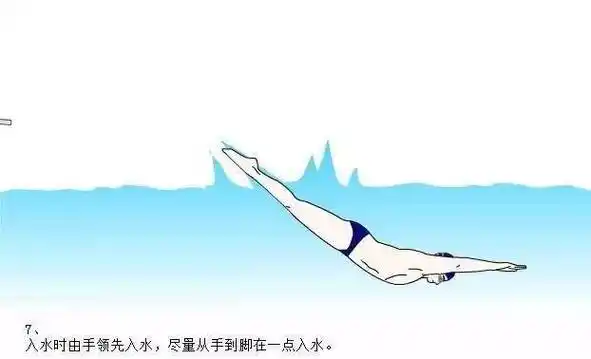 跳水出发,不输在起跑线上的游泳技术_动作