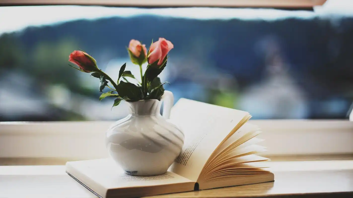 小清新静物高清唯美意境图片桌面壁纸