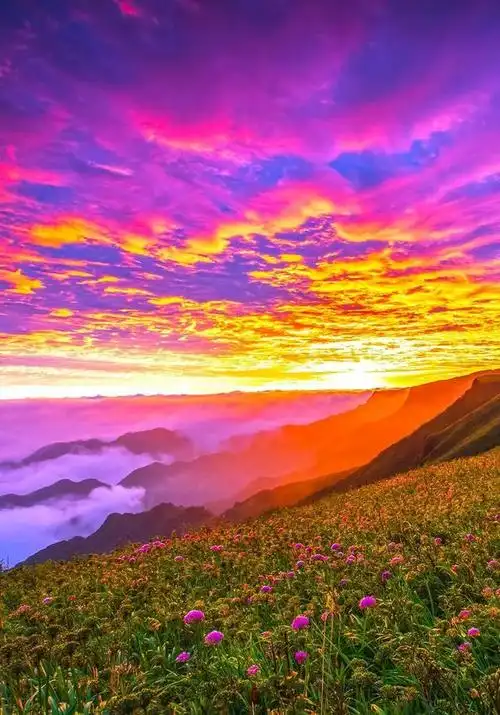 再过一个月,这个地方将迎来最美"天上花海"