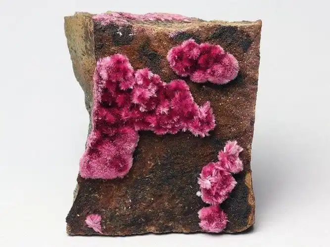 精美的石头会开花