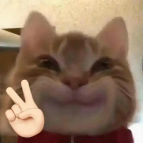 歪嘴小猫表情包来啦,喜欢的快收图吧