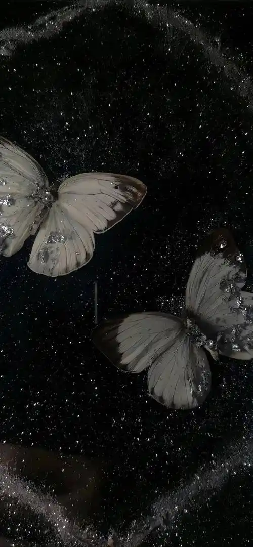 专题 | 高级ins黑色系氛围感壁纸