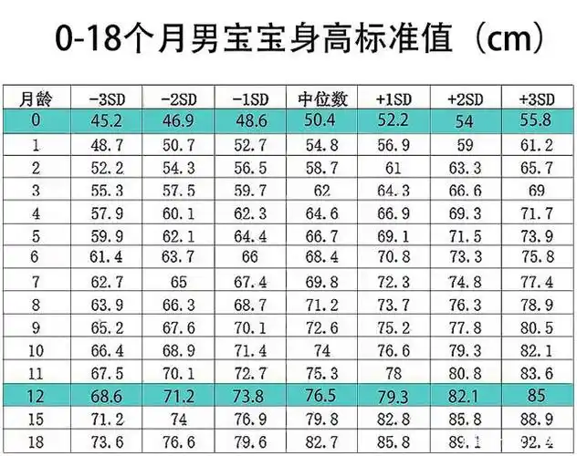 「2021最新宝宝身高标准表」你家宝宝达标了吗?