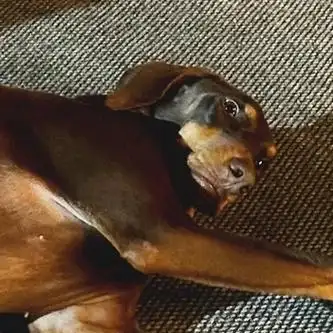 好的自己#防弹少年团超话【231008 tiktok】田柾国账号更新头像和昵称