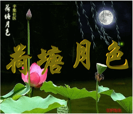 487_417gif 动态图 动图