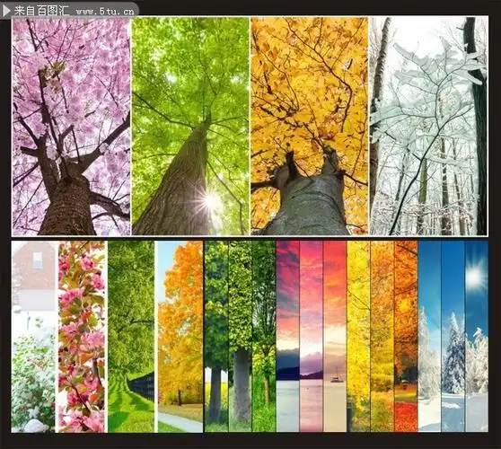春夏秋冬四季景色
