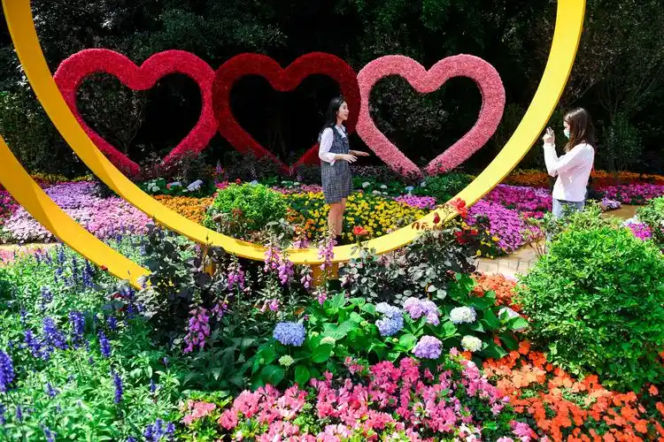 2021粤港澳大湾区深圳花展即将开幕