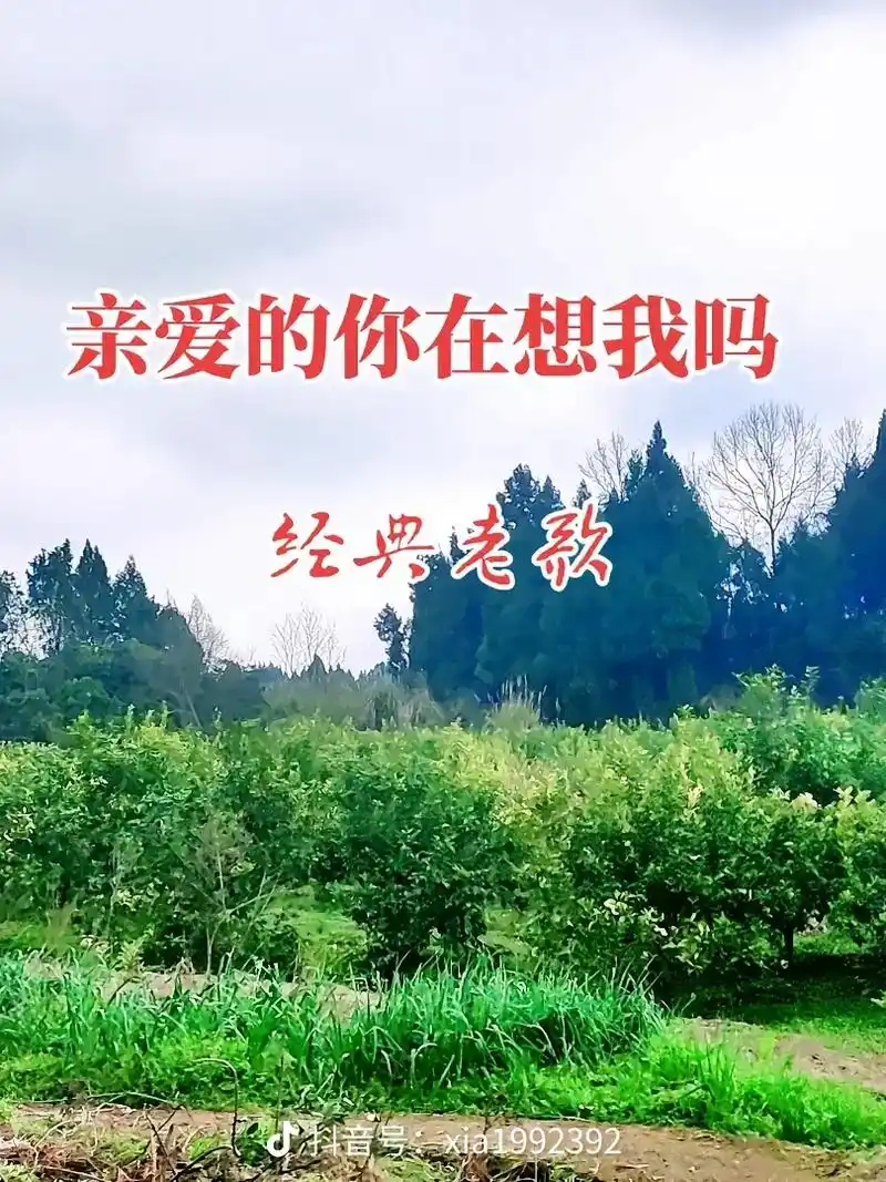 一首《亲爱的你在想我吗》精典爱情歌曲与亲友分享#你开心我快乐 - 抖