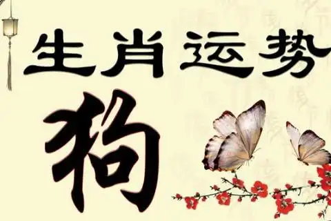 3,2022年属狗28岁命运2,不同年份出生属狗人的命运1,1994年属狗的一生
