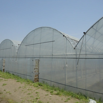 新乡连体大棚