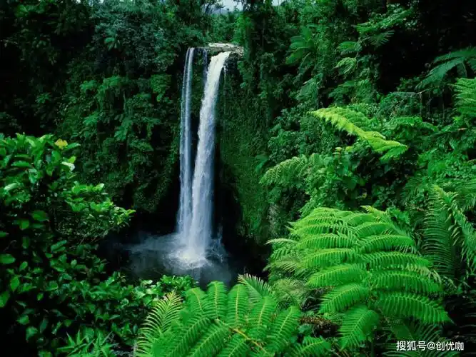 31-1.21,心心相印,缘分相随,财色双收,诸事大吉的4个生肖