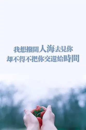 不是情感的纠结,就是利益的盘桓