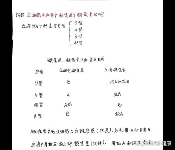 凝集原,凝集素与血型关系图