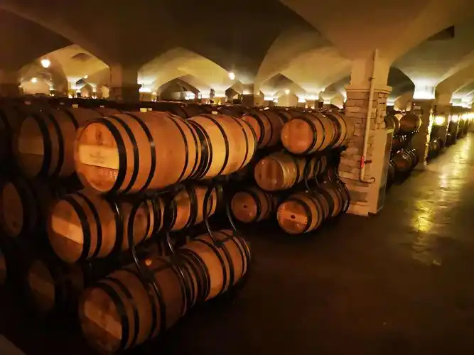 〈 长城桑干葡萄酒山庄 〉手机日记,记于2019年5月3日河北省怀来县.