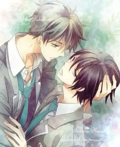 花瓣,陪你做生活的设计师