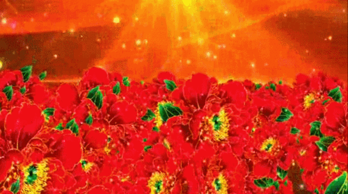 【gif-动图】— 用抠抠视频秀生成的gif动画(鲜花素材)