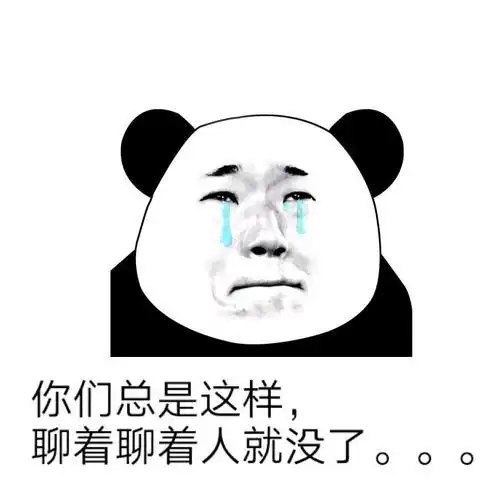 你们总是这样,聊着聊着人就没了._聊着_总是_你们_这样表情