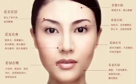 解读面相学中下巴尖的女人好不好? 下巴尖翘男人面相学-八字合婚网