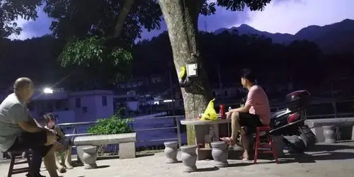 山村野趣系列乘凉