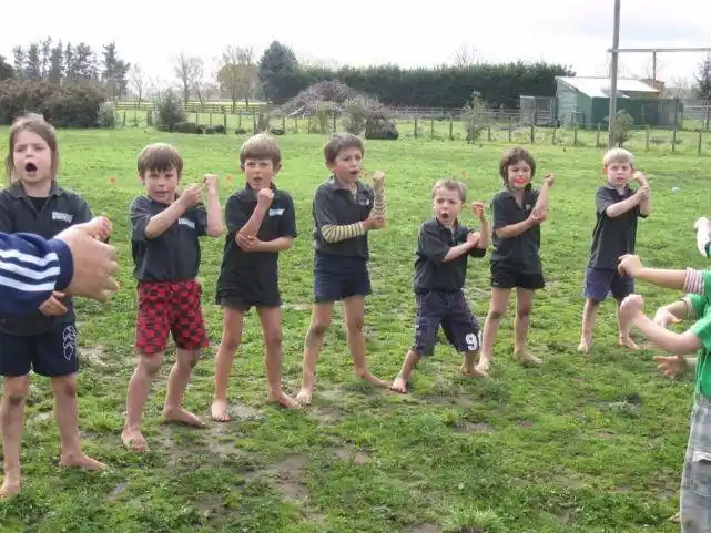 "赤脚大仙"绵羊国新西兰现状,带你看看这些冷知识