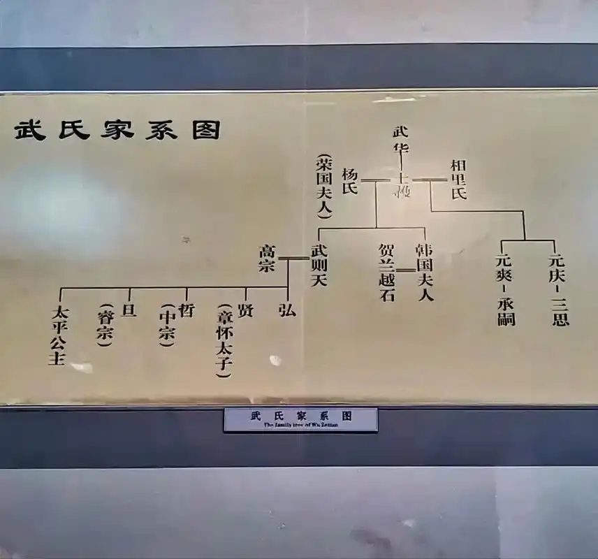 武氏家系图