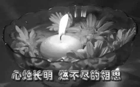 没有父亲的父亲节把祝福捎给天堂的爸爸父亲我想您