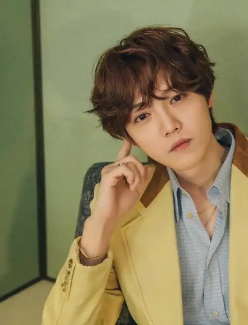 鹿晗工作室终止与爱彼品牌合作 因后者言论严重违反一中原则