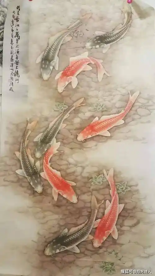 画鱼,我又约了作品网络展,才有了交流的机会,对一个画家的人品和作品