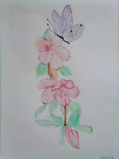 彩铅花卉  #自学彩铅画  #临摹练习
