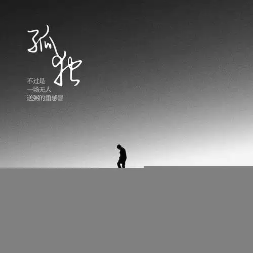 其实孤独并不可怕,真正让我们彻骨感到孤独感的是内心失去了可以栖息