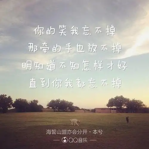 你是我忘不掉的记忆