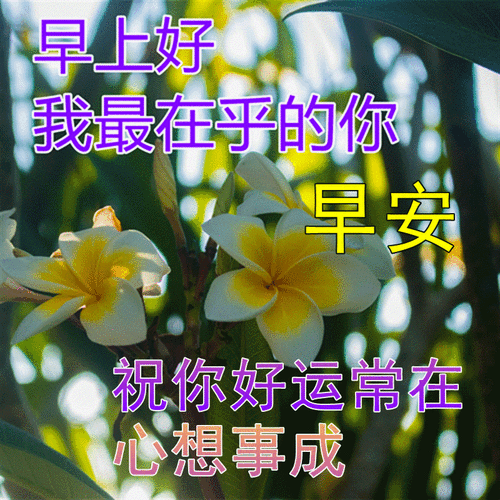 特漂亮早上好祝福语表情图片,早上好问候祝福句子精选