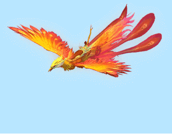 冲上云霄振翅高飞经过了浴火的涅槃像一只凤凰通 钢五十九年的辉煌五