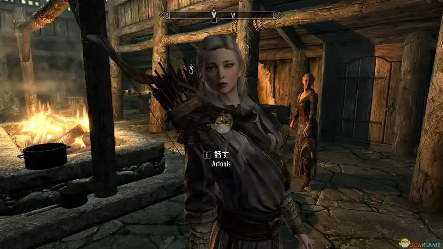 上古卷轴5天际artanis美丽女性独立随从mod