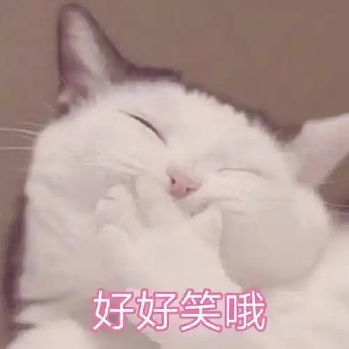 萌宠gif喵星人gif好好笑哦gif傻笑gif呆萌gif可爱gif