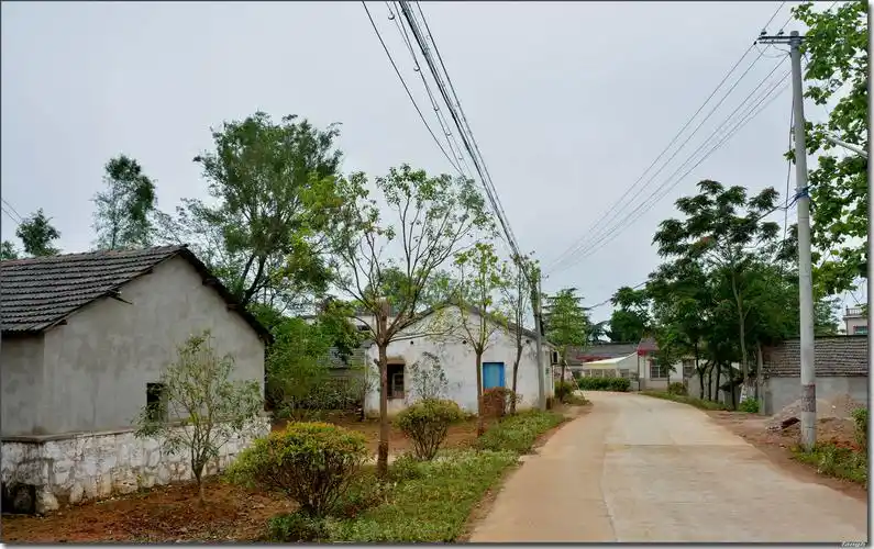 安徽巢湖美丽乡村三十五:五爪岗,不断变化的新农村