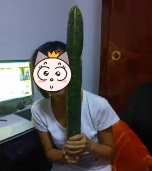 偷吃禁果不分场合男女 美女胆大妄为情何以堪 这不是一根普通的黄瓜!