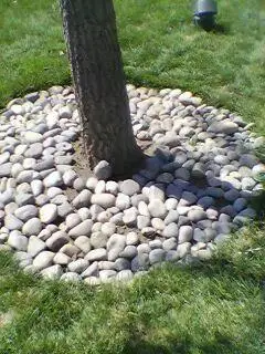 树坑/树池覆盖鹅卵石防尘  绿化专用防尘鹅卵石/石子湖底填铺专用