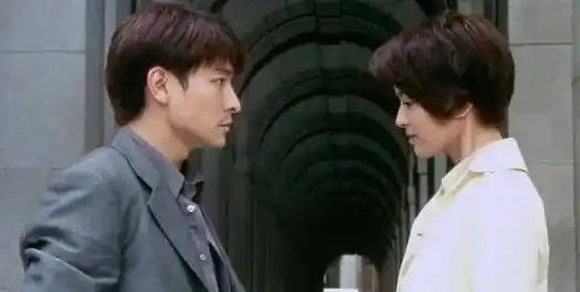 乌蝇被打得像个猪头,独入虎穴,刘德华,刘若英,葛优,王宝强等人主演的