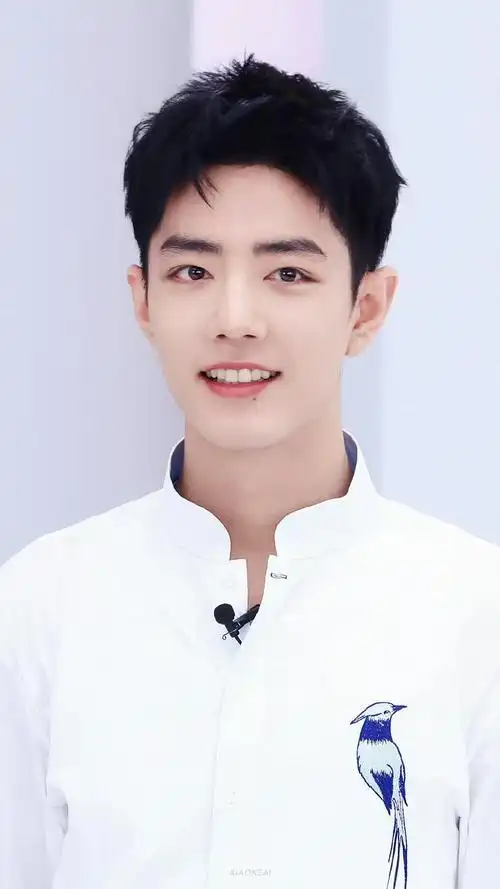 肖战帅的很稳定,阳光笑容很治愈