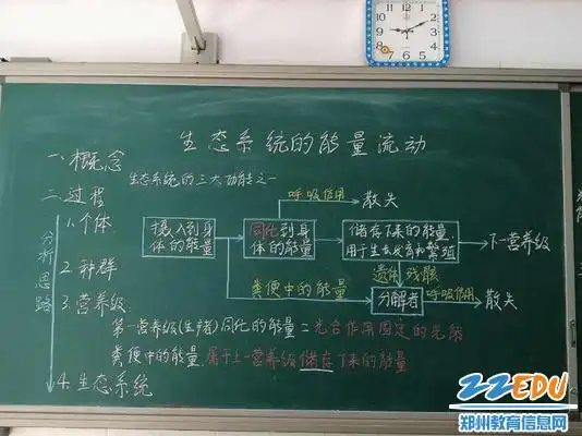 生物板书通过逐级递进的规律讲解了能量流动