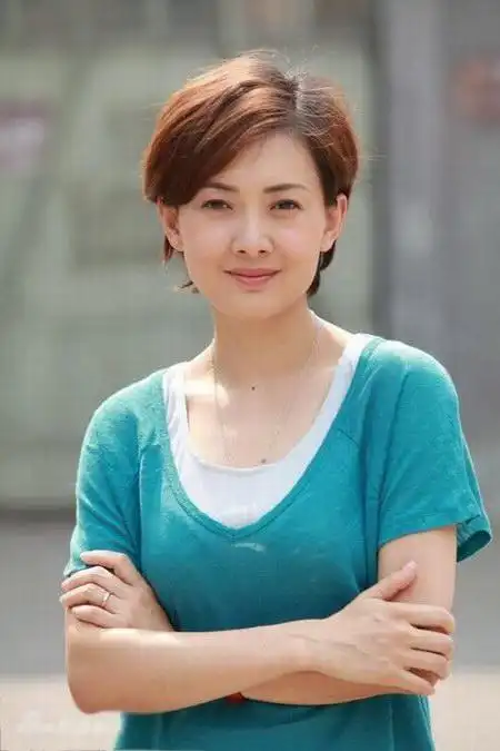 电视剧《养父》精彩剧情介绍,演员表