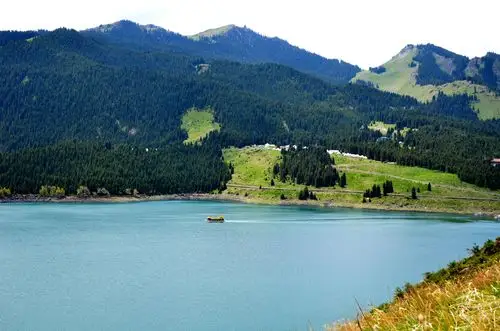 六月伊犁看花(2014年6月8日-17日)图片966,新疆自治区旅游景点,风景