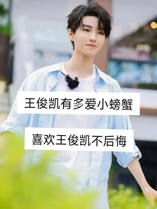 喜欢王俊凯从不是单恋和暗恋从开始到未来只为王俊凯