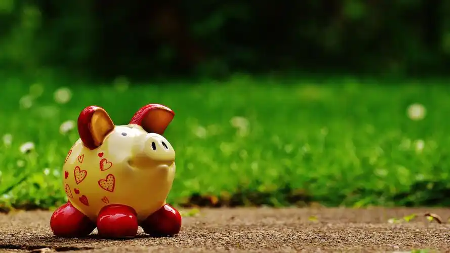 幸运小猪 诸事如意,高清图片,电脑桌面-壁纸族