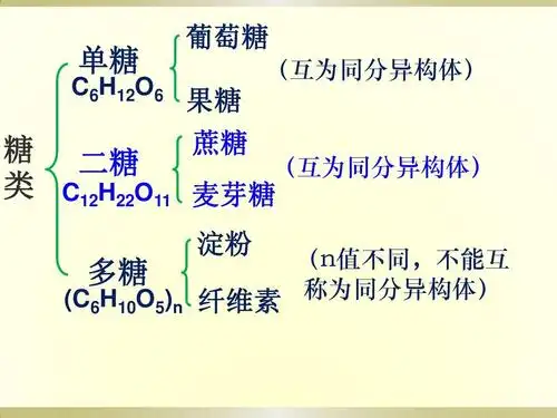1 生命的基础能源——糖类 (共17张ppt)
