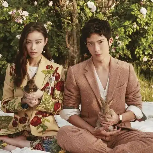 井柏然倪妮复合了?